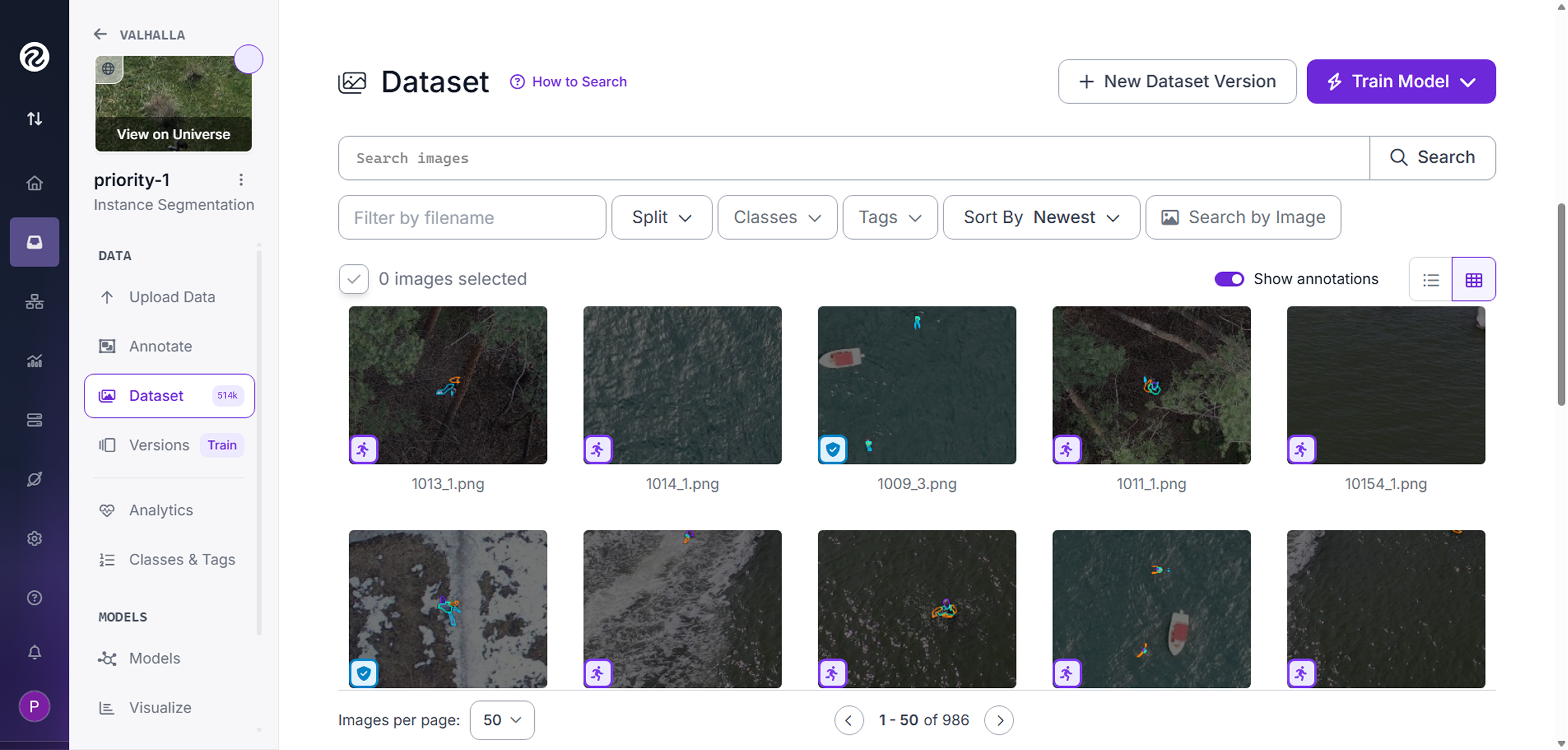 Dataset image library interface